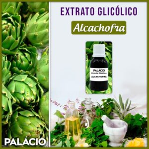 Extrato Glicólico de Alcachofra